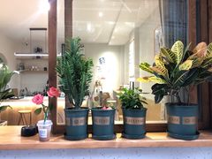 -infinite cafe