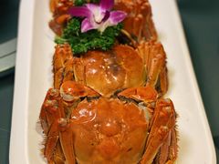 -金龙·打边炉(南京西路店)
