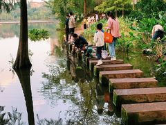 -重庆彩云湖湿地公园