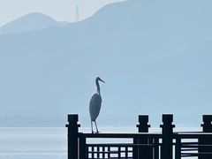 -东钱湖小普陀景区