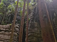 -梭布垭石林景区