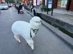 -大理洱海