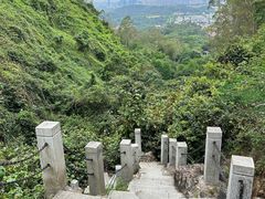 -水濂山森林公园