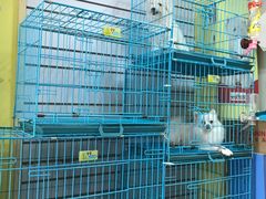 -乐乐宝宠物店