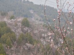 -阳台山自然风景区