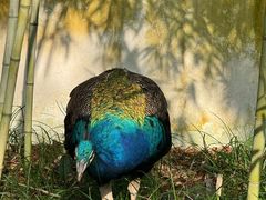 -台州府城(东湖)