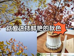 -雁滩公园
