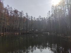 -波尔登森林公园