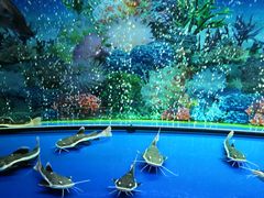 -大明湖海底世界