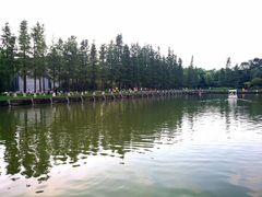 -圩墩遗址公园