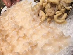 -協成海鮮火鍋(老店)