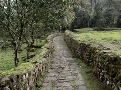 -唐崖土司城遗址