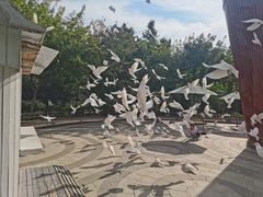 -南宫五洲植物乐园