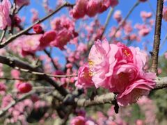 -成都杜甫草堂博物馆