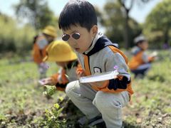 -上海贝贝佳幼儿园
