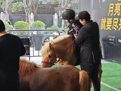 -瑞虹新天地月亮湾