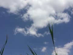 -水洞沟旅游区