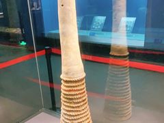 -荆州博物馆