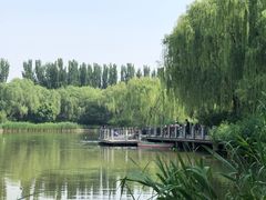 -将府公园