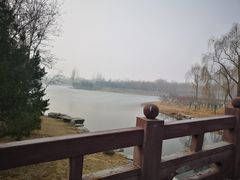 -大兴滨河森林公园