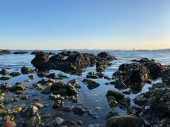 -泊石湾海滨浴场