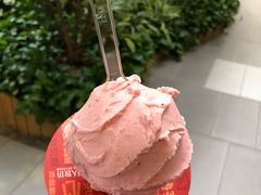 -野人先生现做冰淇淋(西安赛格店)