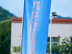 -海南霸王岭国家森林公园