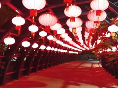 -三亚游船旅游中心(三亚鹿回头游艇游船公共码头店)