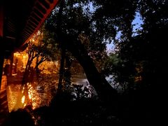 -华雅花园大酒店