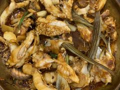 -源港渔村-中山脆肉鲩(博罗店)