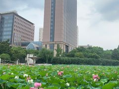 -黄兴公园