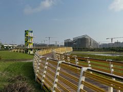 -春花秋色城市公园