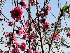 -水濂山森林公园