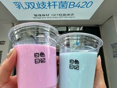 -白色日记·手作酸奶(麦凯乐店)