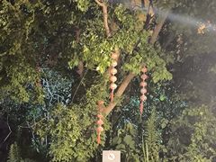 -印象普陀