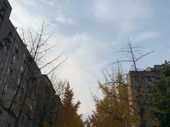 -四川大学(望江校区)