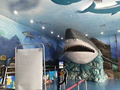 -多彩贵州城极地海洋世界