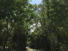 -迎泽公园