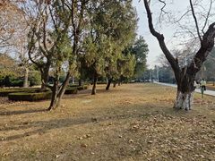 -旅顺博物馆