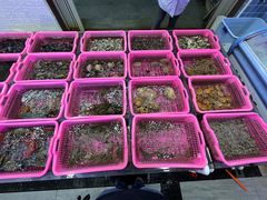 -众味海鲜大排档·活海鲜·潮汕味(南澳店)