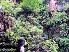 -云台山风景名胜区