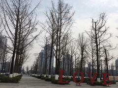 -百林公园-两江幸福广场
