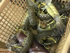 -班赞海鲜市场
