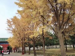-东湖落雁景区
