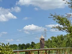 -昆山城市生态森林公园