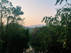 -青龙山国家森林公园
