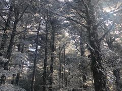 -峨眉山风景名胜区
