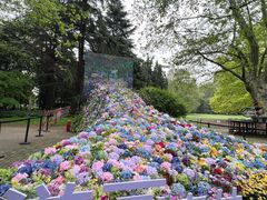 -上海共青森林公园