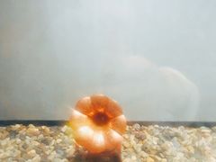 -幸福蓝海影城(上海闵行日月光中心杜比全景声店)