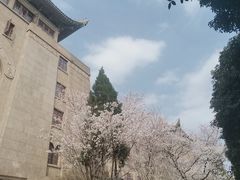 -武汉大学-樱园